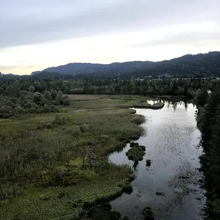 Urisee Reuthe